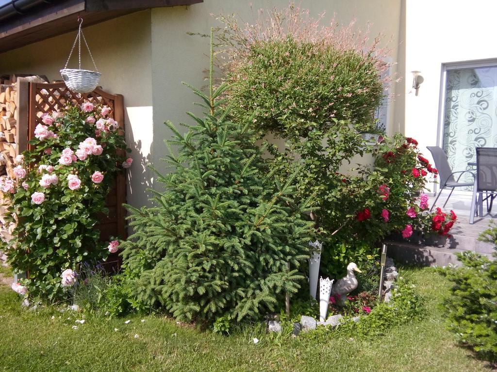 Villa Honoratka Z Prywatnym Polem Do Gry W Mini Golf Rewal Εξωτερικό φωτογραφία